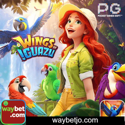 Imagem promocional do cadastro da WAYBET